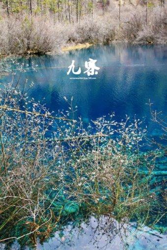 机智问答网页-打赌输钱法律支持么?解答你的疑问